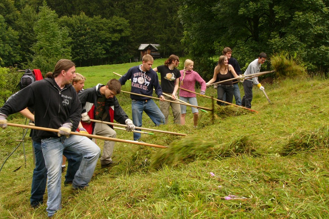 Neun Menschen haben einen Rechen in der Hand und rechen in einem Bergwald Gras Neun Menschen haben einen Rechen in der Hand und rechen in einem Bergwald Gras | © R. Brode